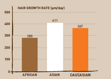 Diversity Of Hair Types Beauty Tomorrow Medium