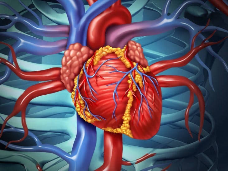 Difference Between Sudden Cardiac Arrest Sca Heart Attack By Difference Between Sudden Cardiac Arrest Sca Heart Attack By