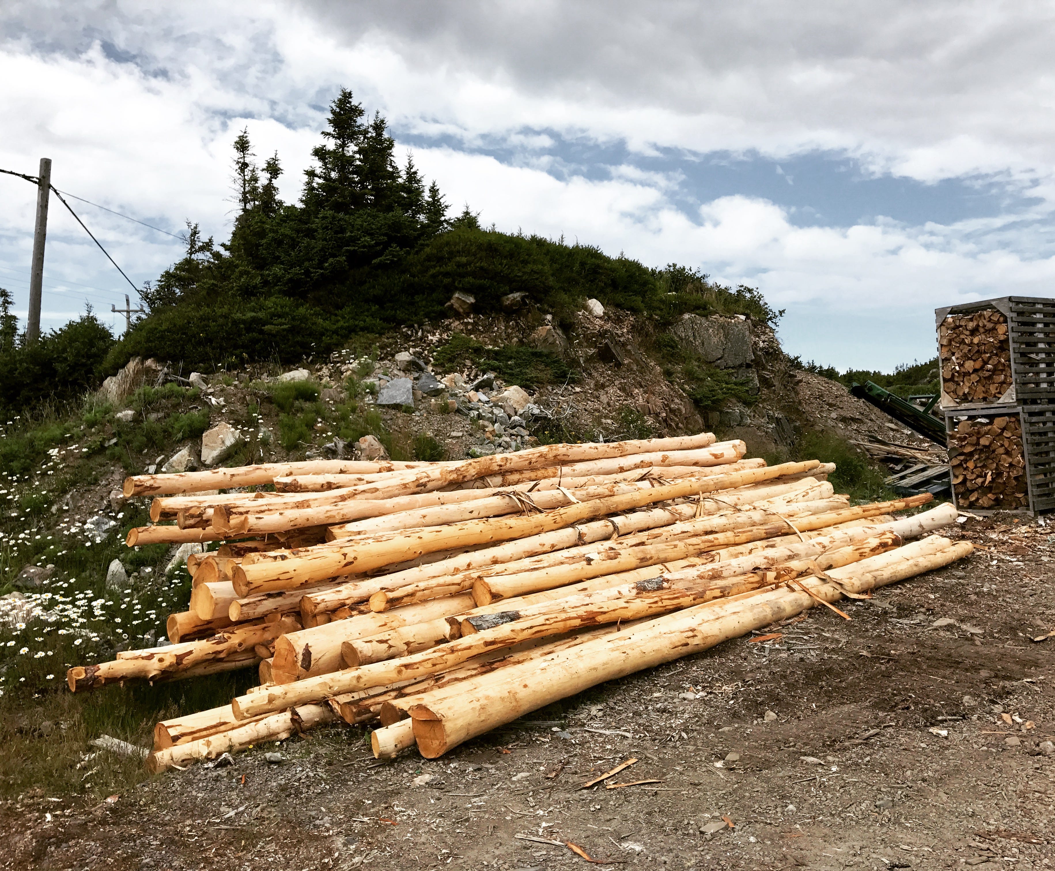 Cribbing How It Is Done. Cribbing is a frame or crib of logs… by The