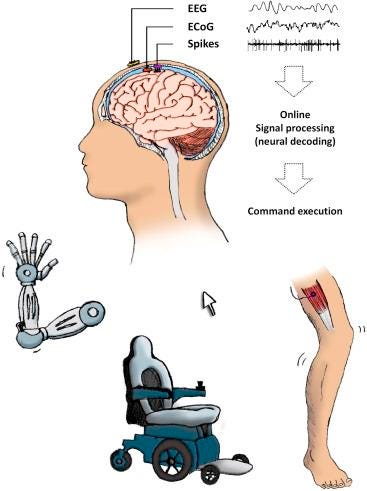Diagram showing how prosthetics can interact with the brain.