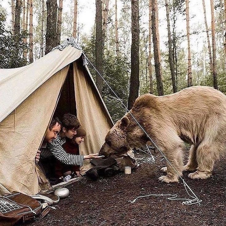 camping tents and accessories