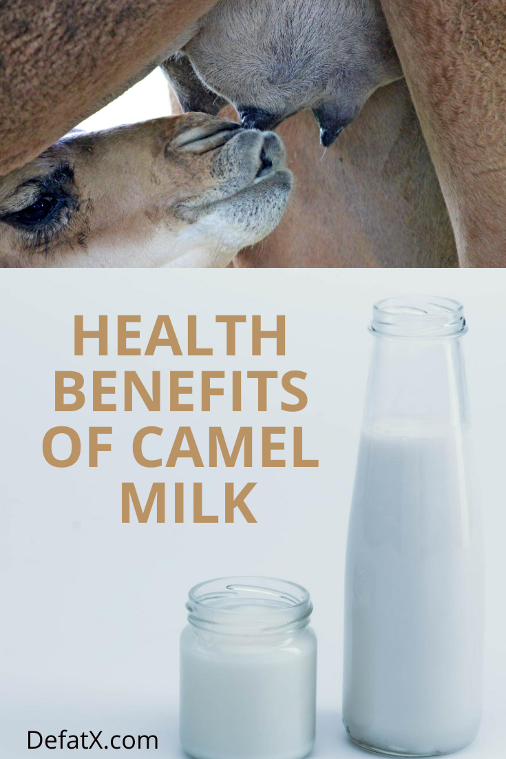 Health Benefits Of Camel Milk And Its Side Effects By Naeem Durrani Medium