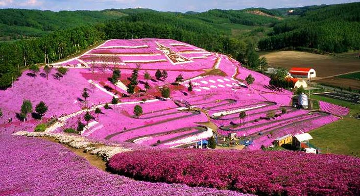 Cruising Along The Coastline Top Beaches In Japan And Vietnam