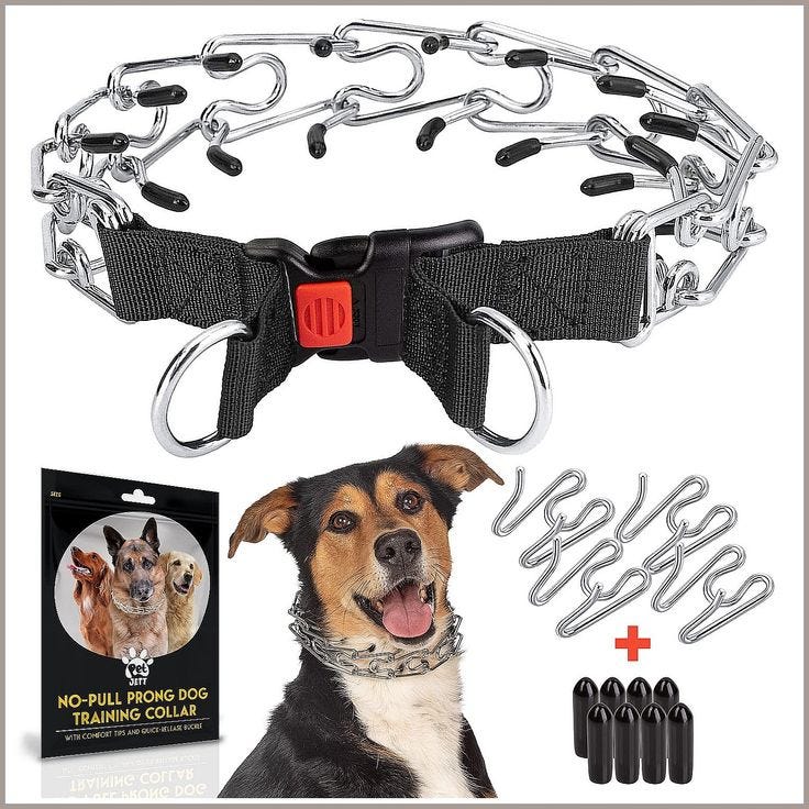 Prong And Choke Collars For Dogs. by Iqrarahman Medium