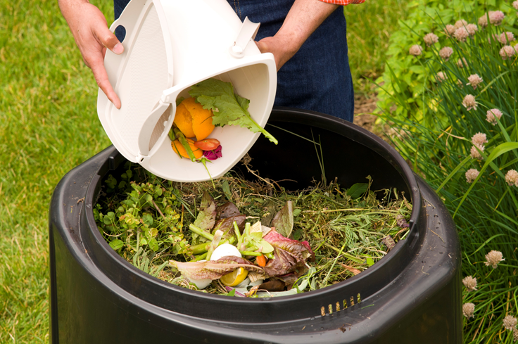 Cómo hacer un mini compost. Estamos convencidos en involucrarte con… | by  CAEII | Medium