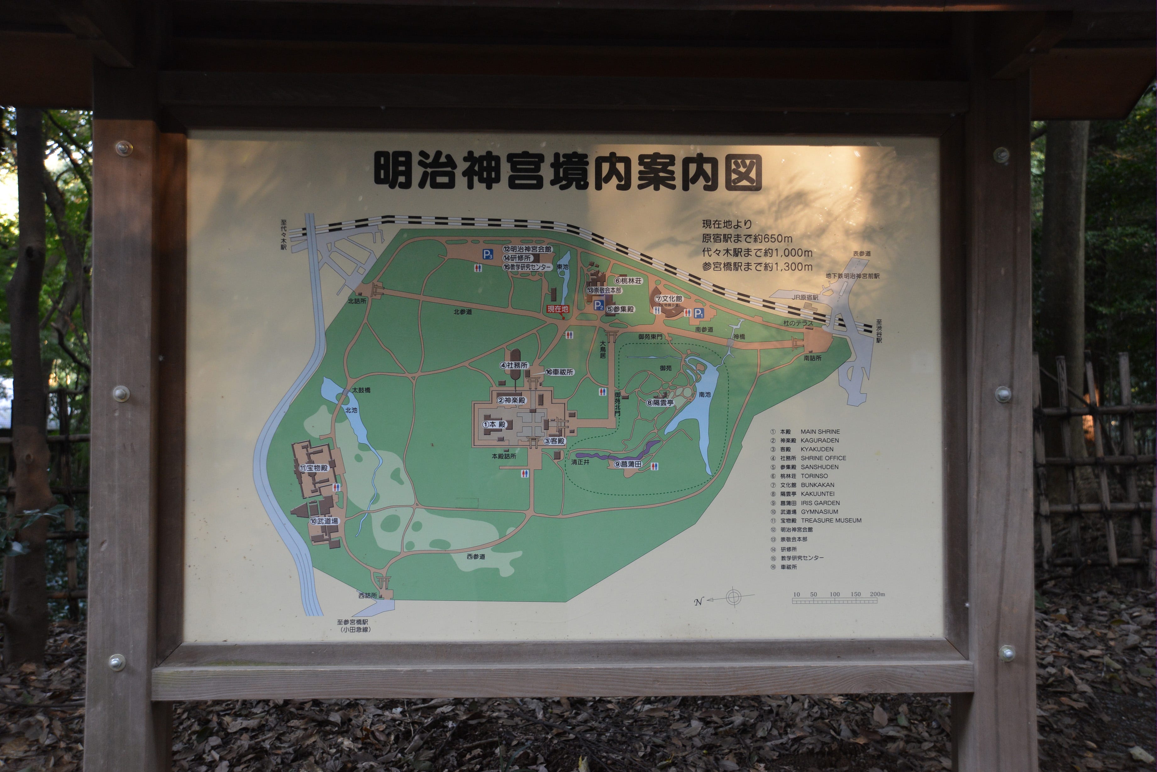 15 In Tokyo 秋天的吉祥寺與澀谷 By Jamie Wang Medium 15 In Tokyo 秋天的吉祥寺與澀谷 By Jamie Wang Medium