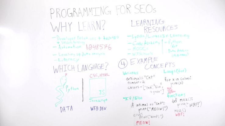 Programming for SEOs — Whiteboard Friday | by Mehmet Flatart | Medium