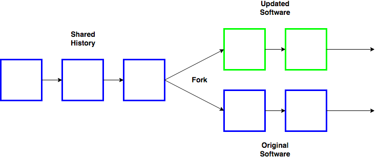 fork bitcoin transaction