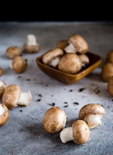 the best keto diet snacks Stuffed mushrooms can be a quick snack