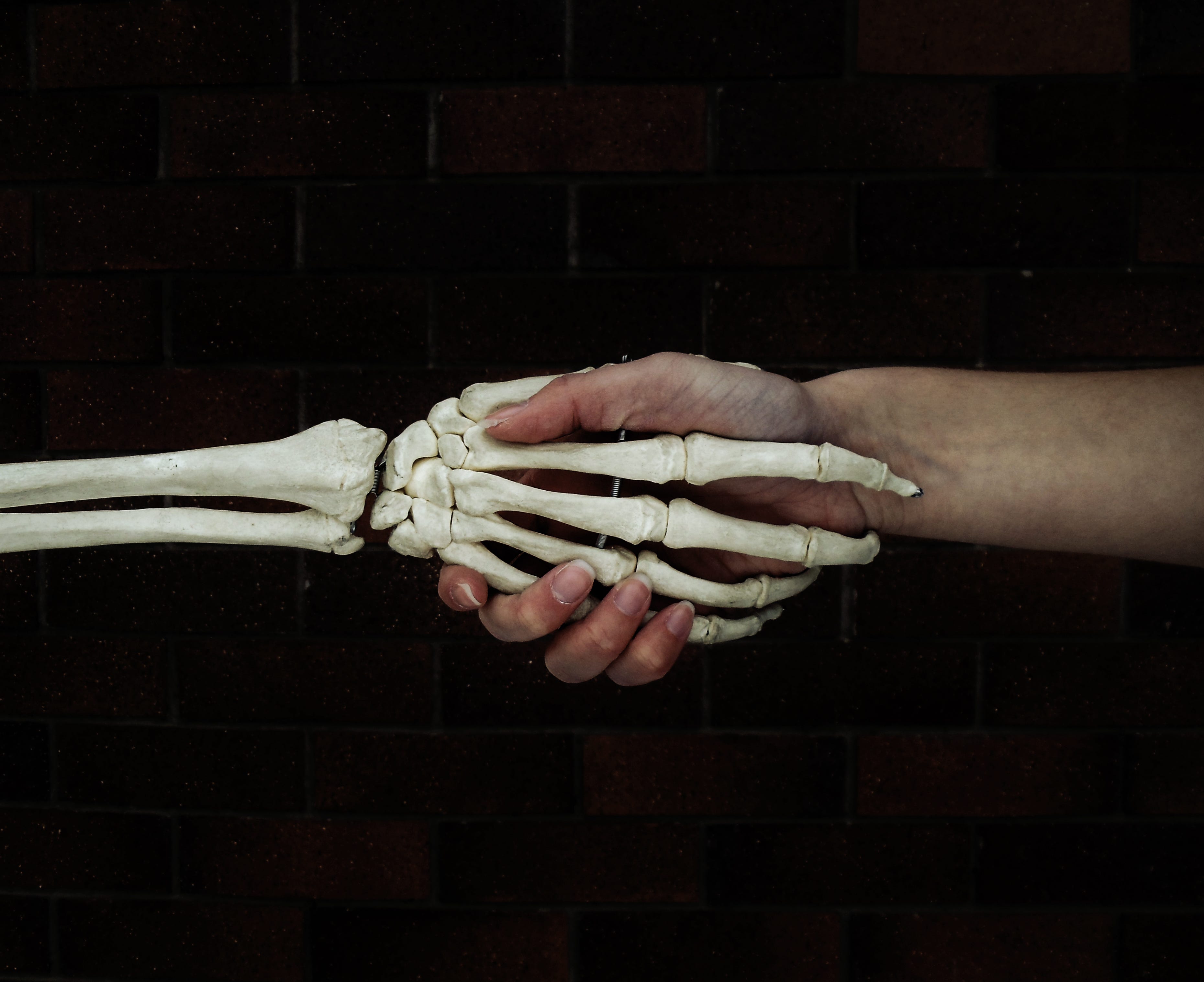 A Good Handshake Reveals More About You Than Just The Strength Of Your Grip By Kyle Crocco Medium