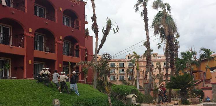 Hurricane Odile Devastates Cabo San Lucas: A 2014 Disaster That Left a Lasting Impact