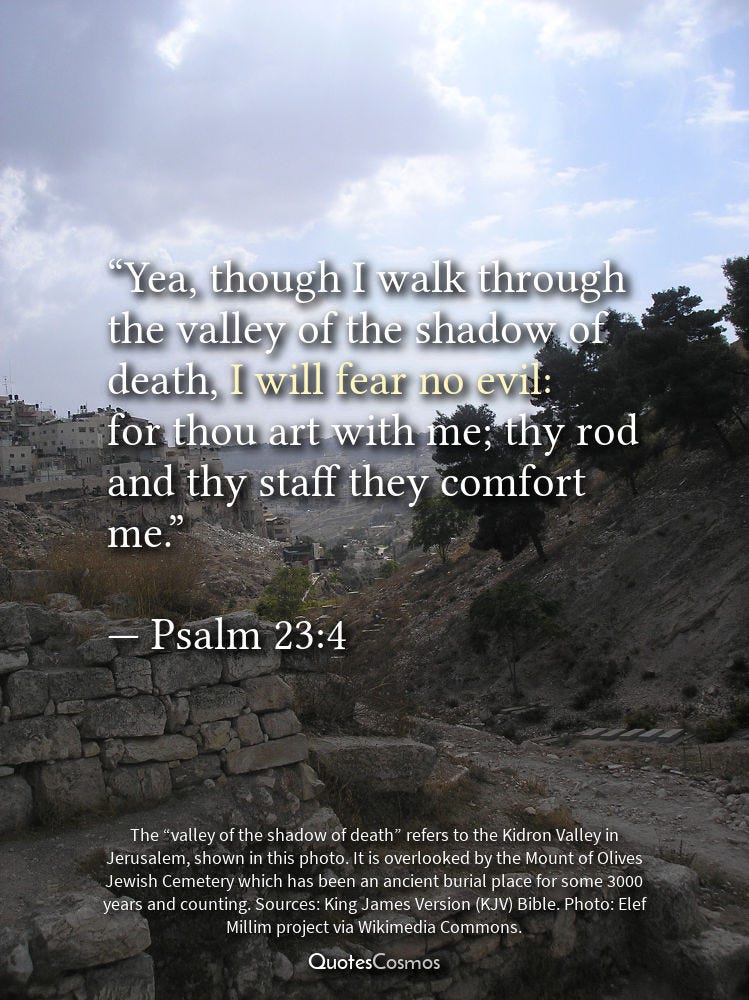 Yea, though I walk through the valley of the shadow of death, I will fear  no evil: for thou art with me; thy rod and thy staff they comfort me.” —  Psalm
