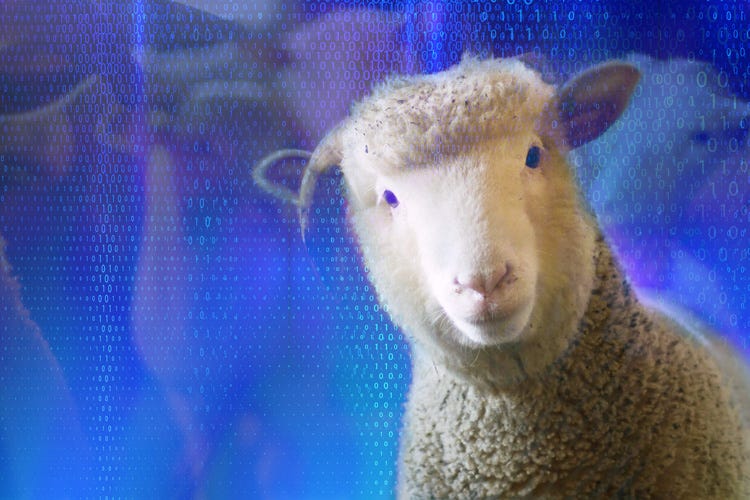 Do Androids Dream of Electric Sheep? | by Dovi Frances | Group 11 VC |  Medium