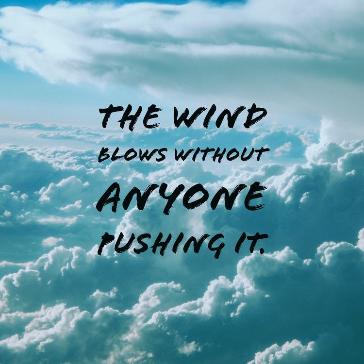 Force Of The Wind In Order To Offer Loving Kindness To By Matthew force-of-the-wind-in-order-to-offer-loving-kindness-to-by-matthew