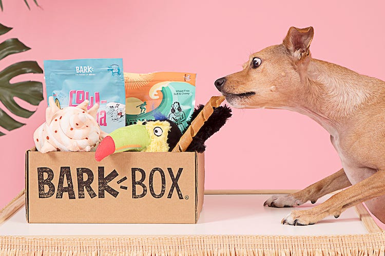 subscriptions like barkbox