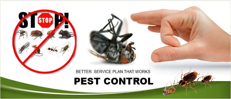 pest control roy utah