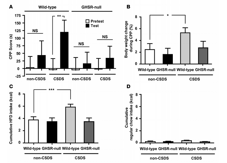 Growling For Ghrelin A Look At Stress And Feeding Behavior By Team