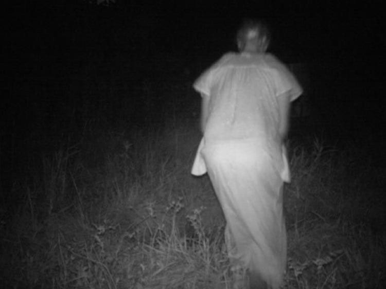 13 of the Scariest Things Ever To Be Caught on Trail Cameras.