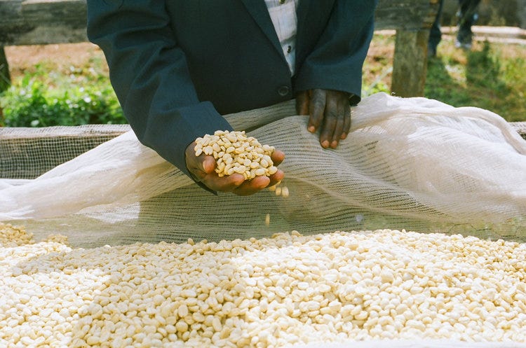 肯亞咖啡的銷售方式演進
