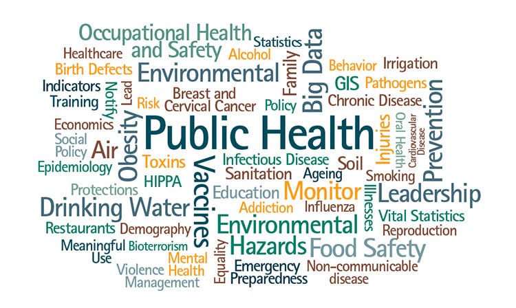 What Are The Implications Of Each Of The Four Components Of Public public-health-interventions-applications-for-nursing-practice-2nd-ed