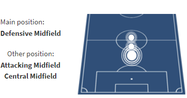 Marcelo Brozovic Position