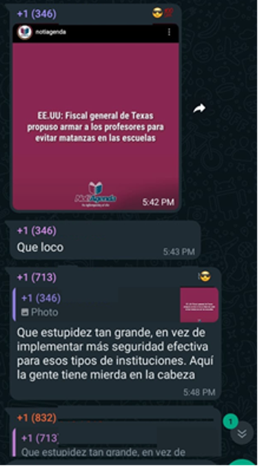 Screenshot of comments responding to an Instagram post shared in a WhatsApp group. The text reads, in Spanish, “USA: Texas Attorney General proposed arming teachers to prevent massacres in schools.” Responses included, “crazy,” “stupid,” and “people have shit inside their heads.” (Source: DFRLab)
