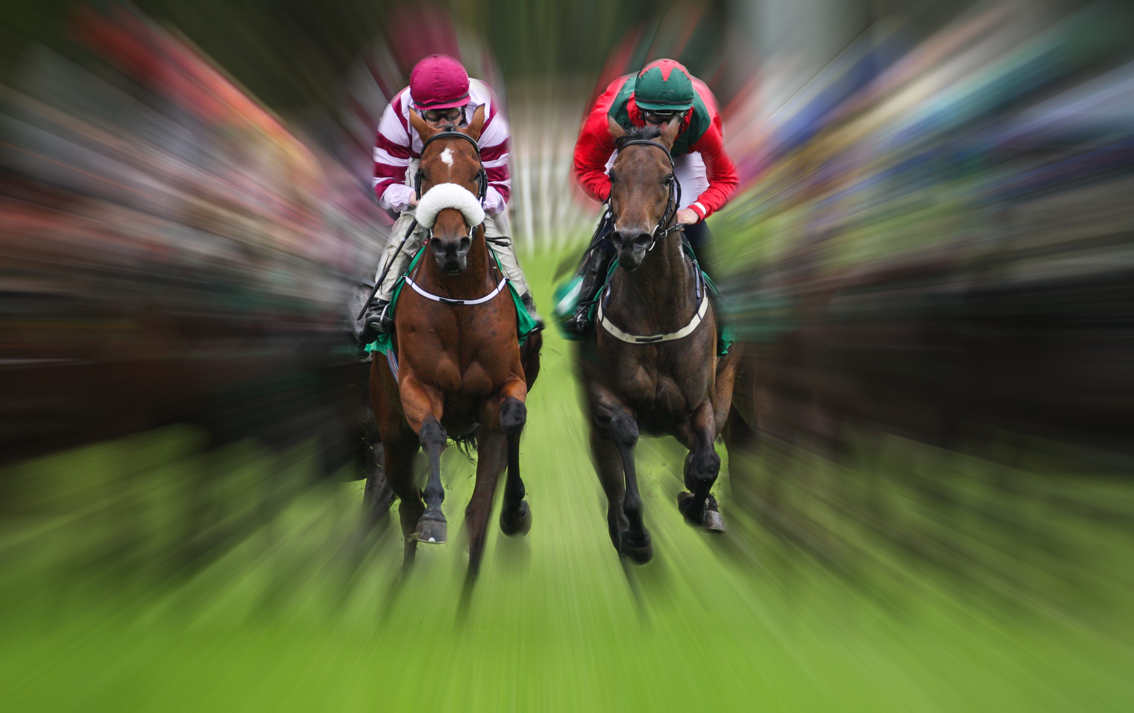How To Win Horse Races Gtaf1Nn5Ter Drama - 9vvvn8i