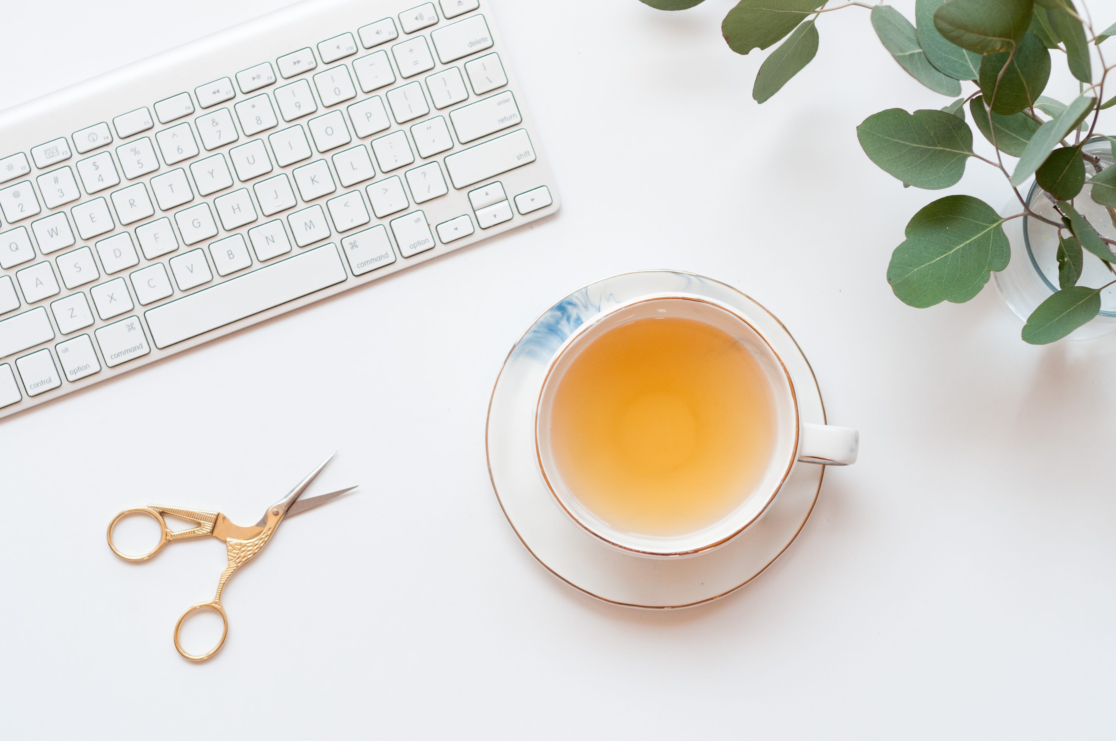 tea, scissors and keyboard