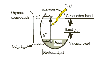 Mechanism of Photocatalysis. At the point when photocatalyst… | by Hygia  India | Medium