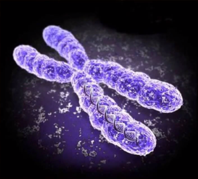 Biological Sex As A Social Construct Eric Sexton Medium - 