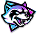 DeFiRaccoons