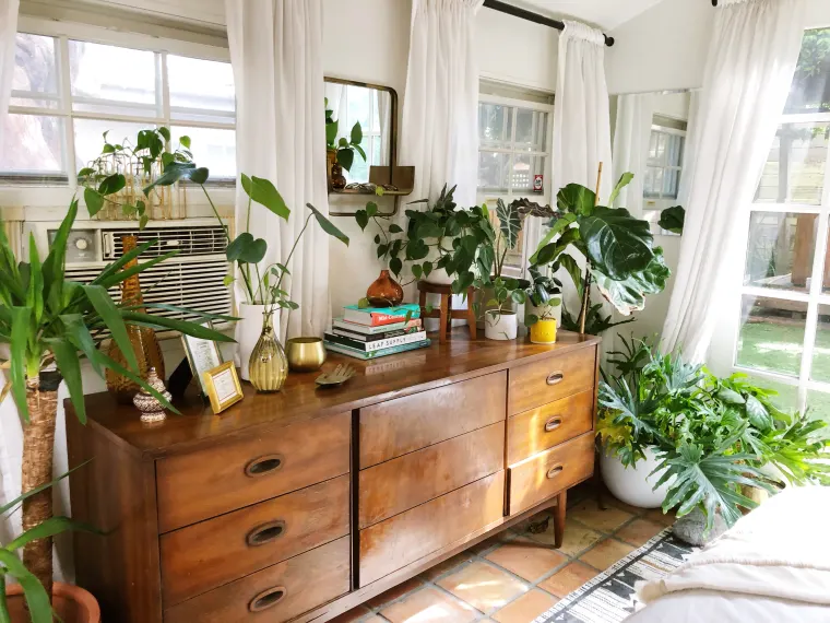 Plants In Your Bedroom Can Wreck Havoc With Your Sleep