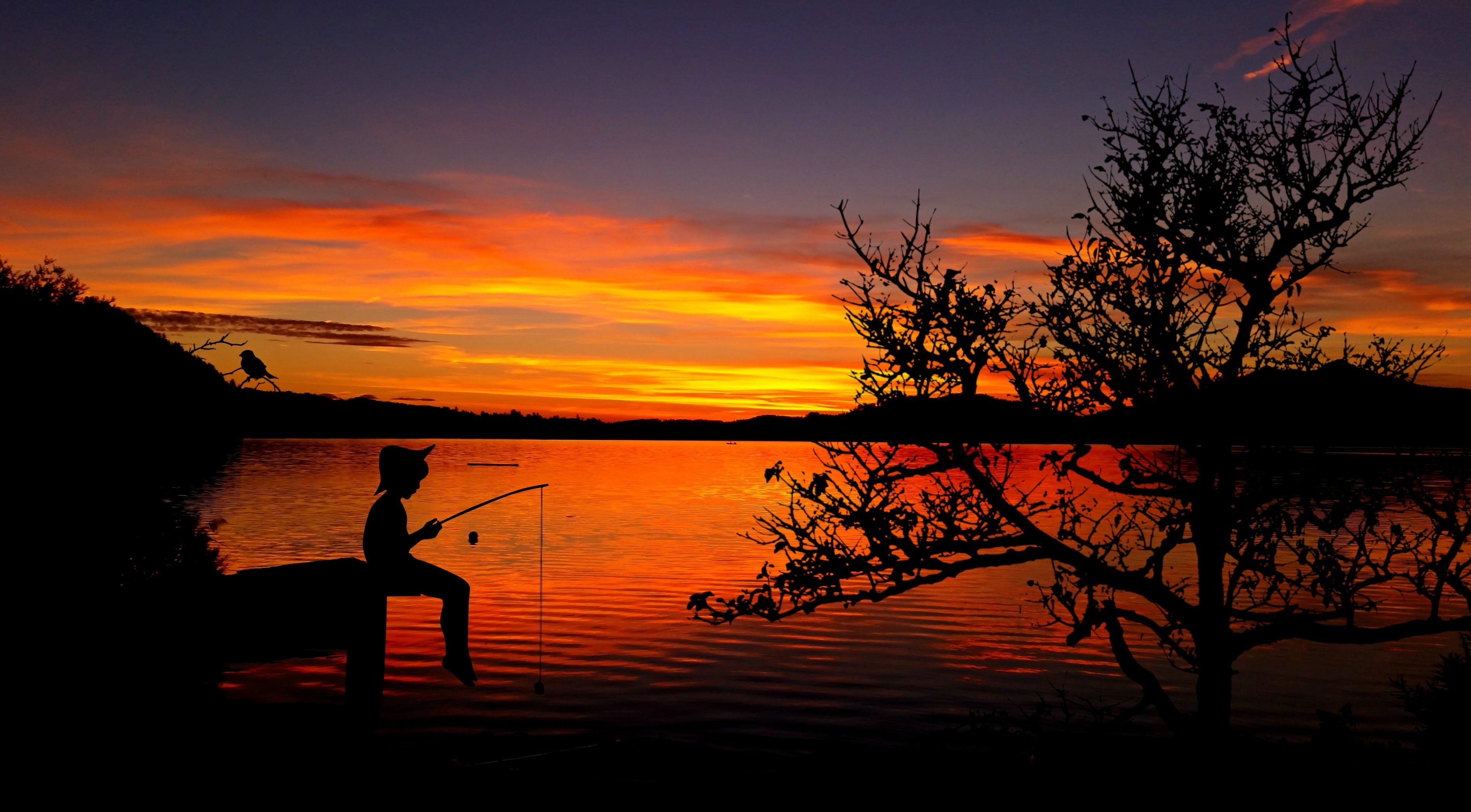 Dont Teach People To Fish Teach To Love The Process Of