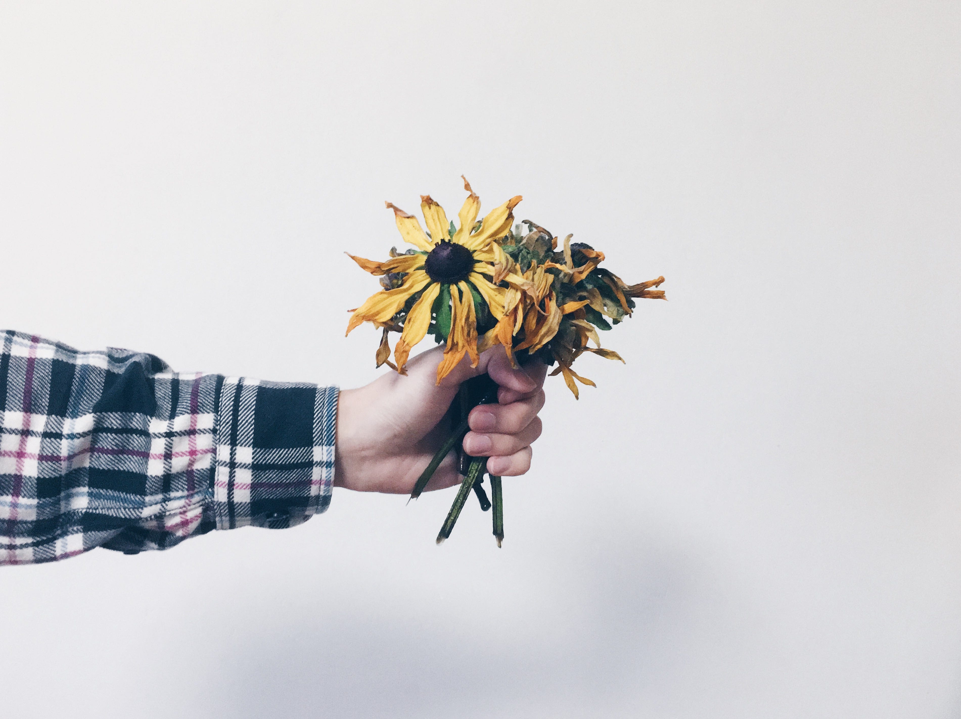 Dear Nice Guy No One Owes You Anything By Arniecea Arnay Medium
