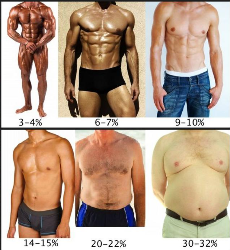 Skinny To Fat Chart