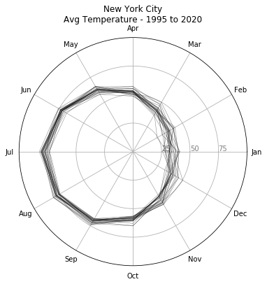 Radar Chart Basics with Python’s Matplotlib | by Thiago Carvalho ...