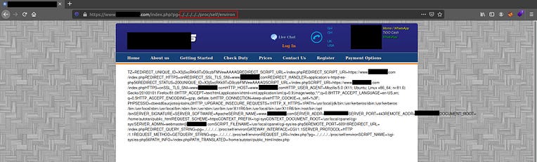 proc/self/environ_variables