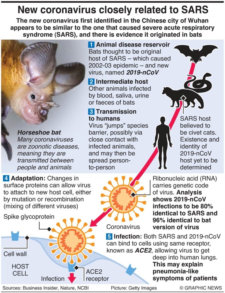 Image result for OVID-19 (coronavirus)