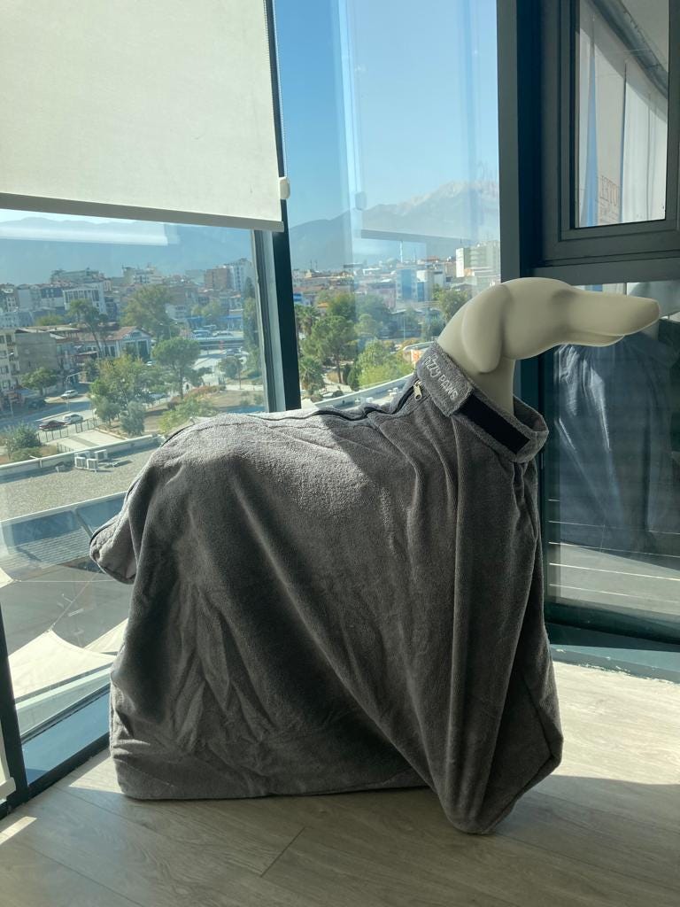 Why Do Dogs Shake Off Water After A Bath 🚀 by Problemsolving pet