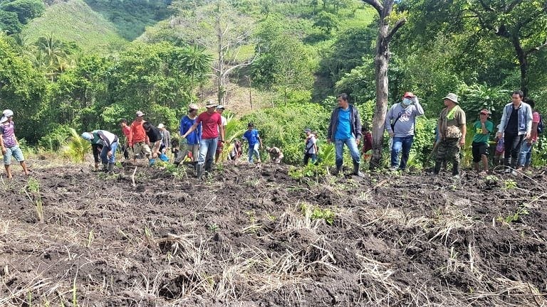 Philippines: From fighters to forest rangers and farmers | by Catherine ...