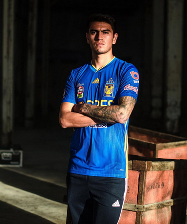 tigres blue jersey