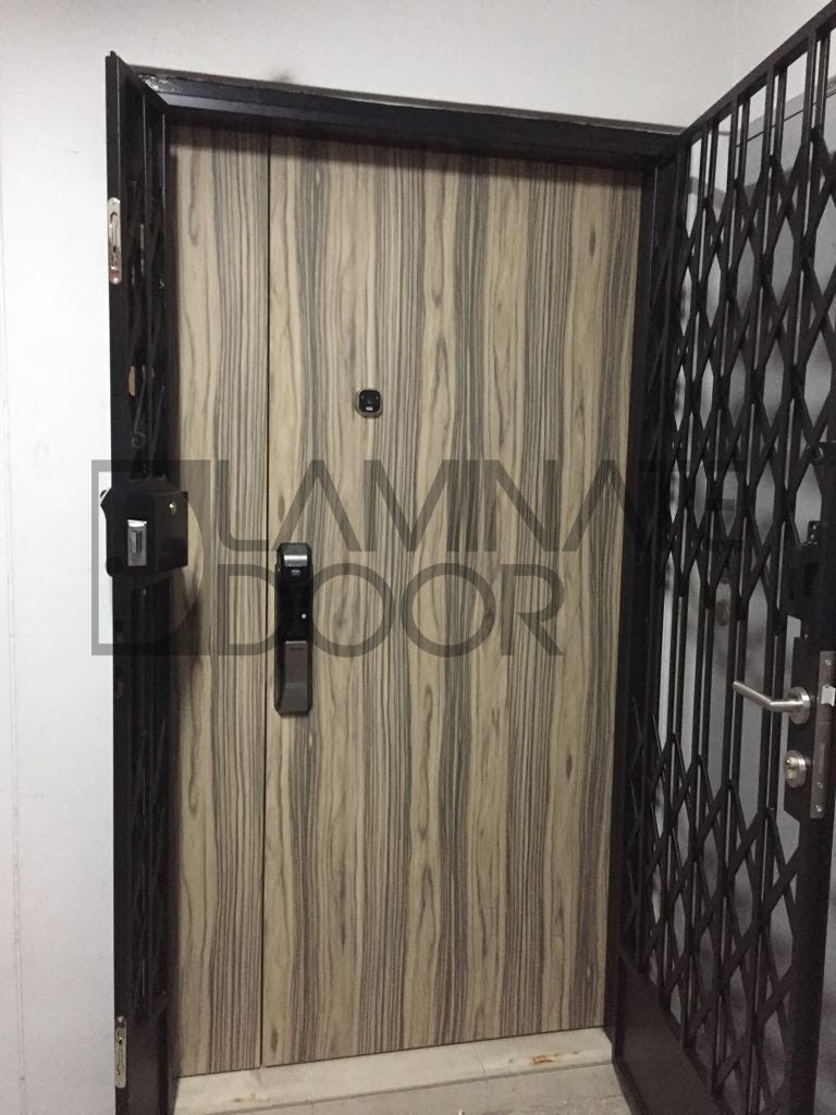 Hdb Fire Rated Laminate Main Door At Door Factory Price With