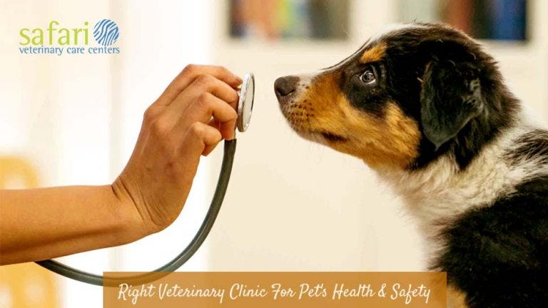 pet health centers