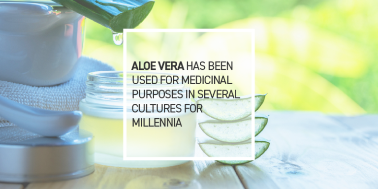 Aloe Leaf Extract Does More Than Soothe Burns