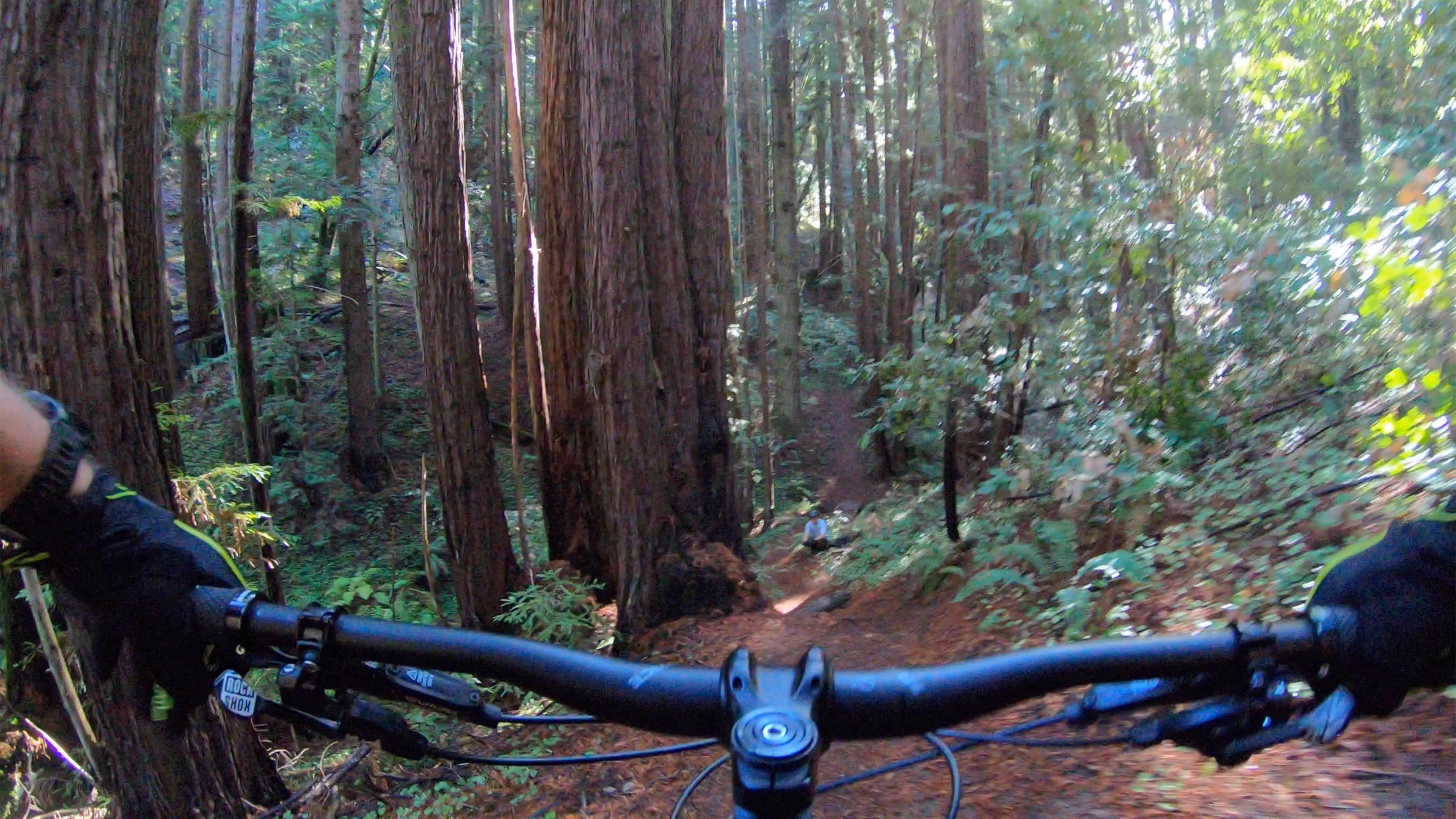 ucsc mountain bike trails
