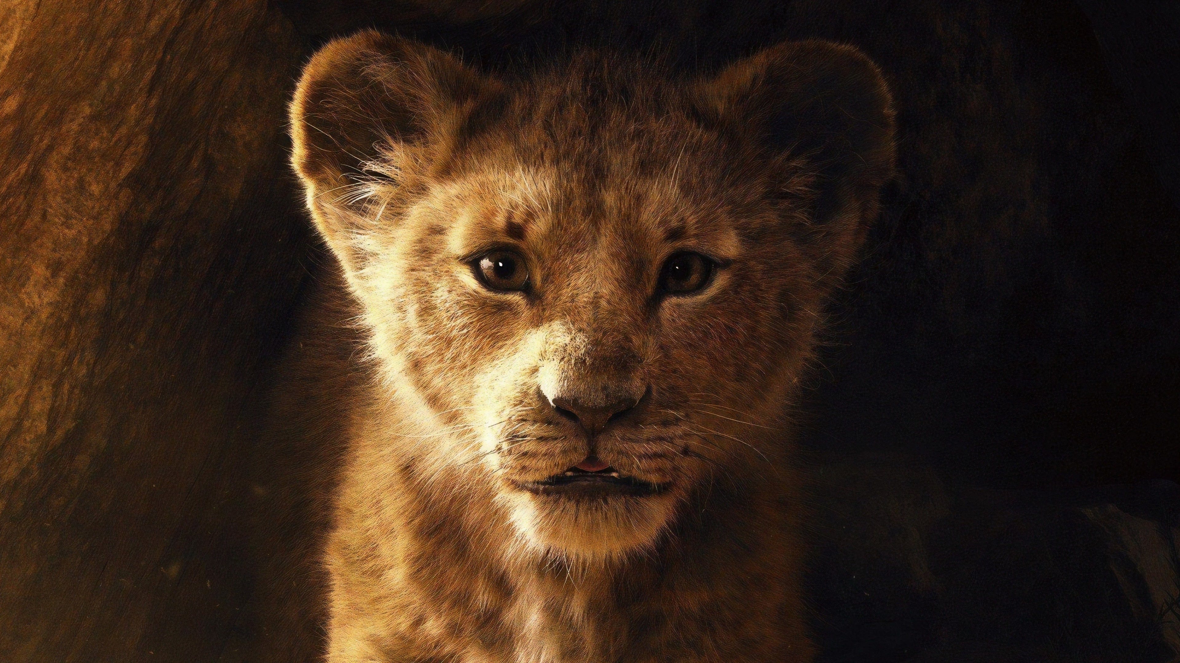 The Lion King 2019 Streaming Hd Google Drive 18 323 Movies By Atuh Sok Medium