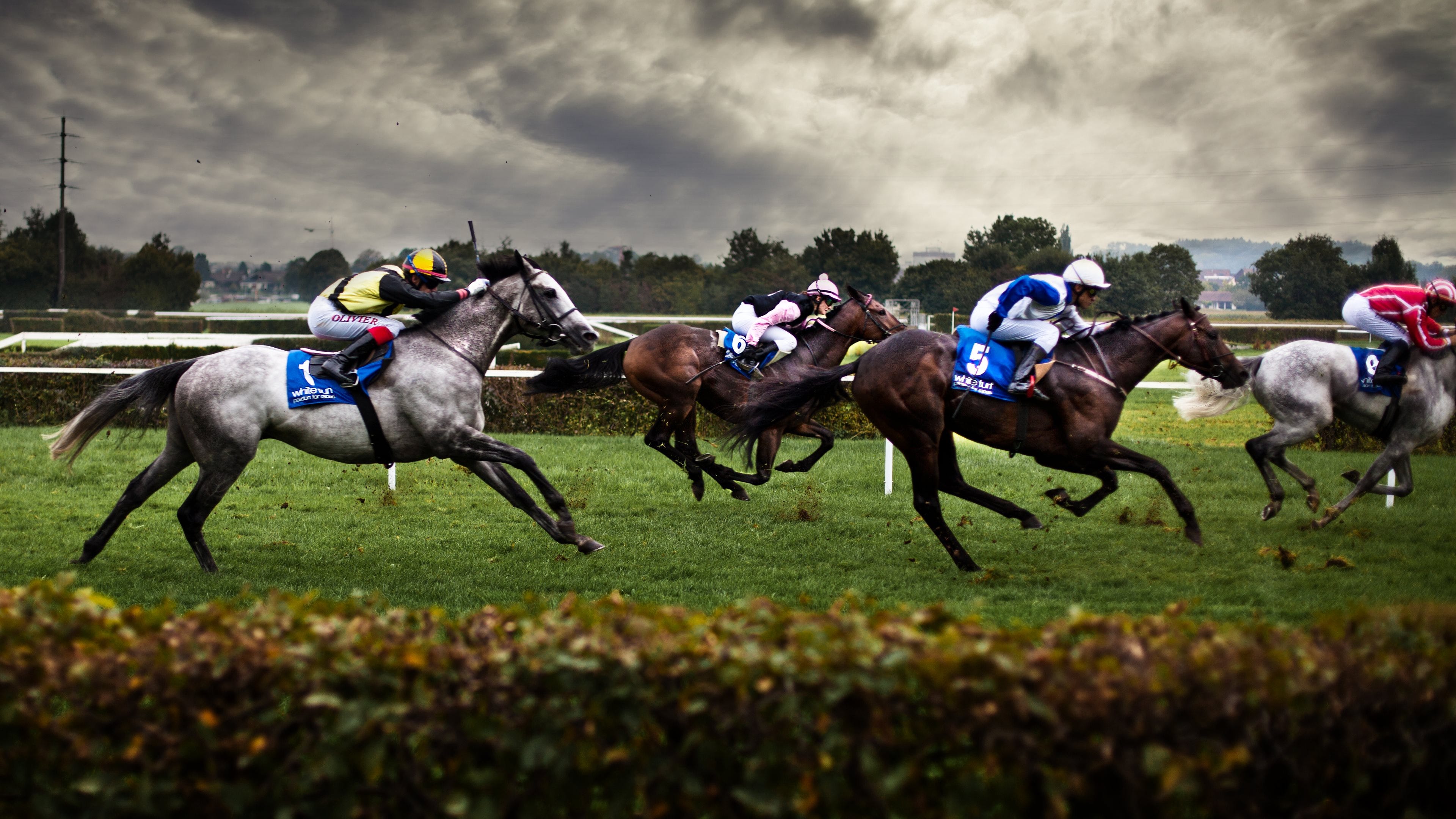 Horse betting strategy bankroll Horse betting strategy bankroll