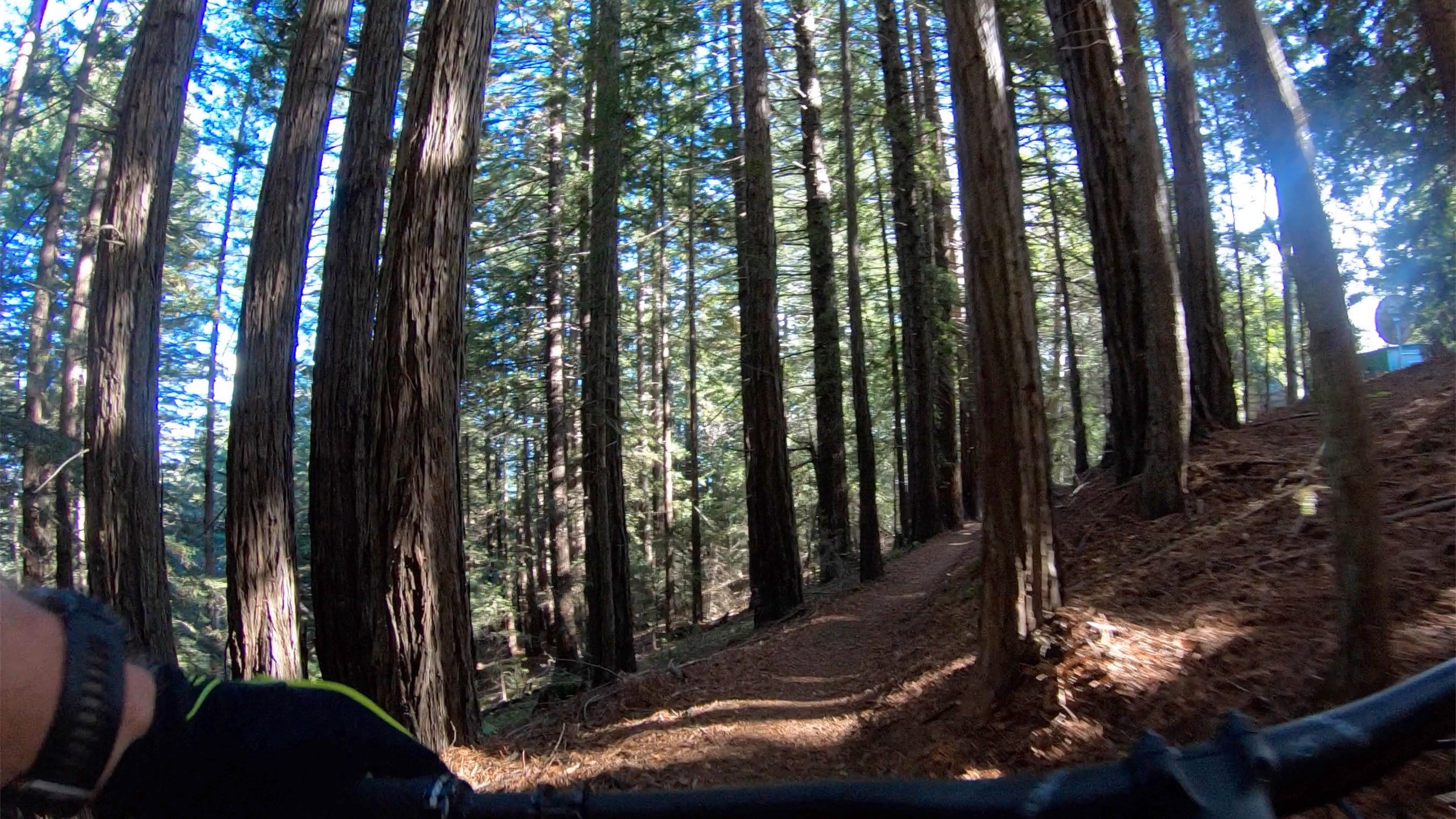 ucsc mtb trails