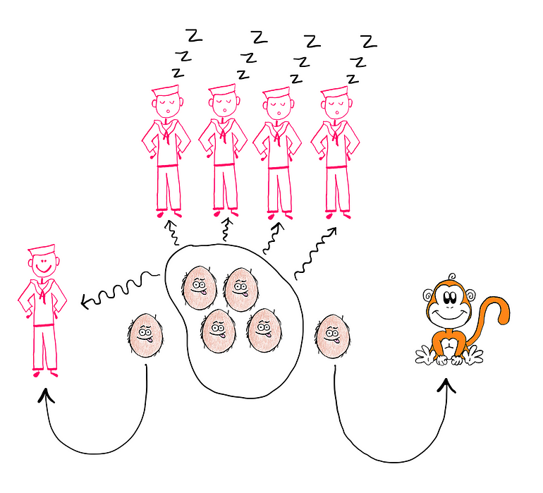 How To Really Solve The Monkey And The Coconuts Puzzle? — An illustrative image showing four sailors sleeping on the top. On the left, we see one sailor who is awake, coconuts in the middle, and the baby monkey on the right. The sailor who is awake splits the coconuts into five piles, gives the monkey the extra coconut, takes and hides his pile, and reorganises the remaining coconuts into one pile.