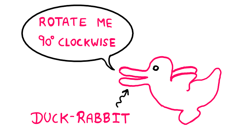 Symmetry: How To Really “See” It? — An illustration showing a duck with its beak pointing towards the left and tail pointing towards the right. It is labelled “Duck-Rabbit”. The Duck says, “Rotate me 90° clockwise.” When you rotate the duck clockwise 90°, it appears to become a rabbit.